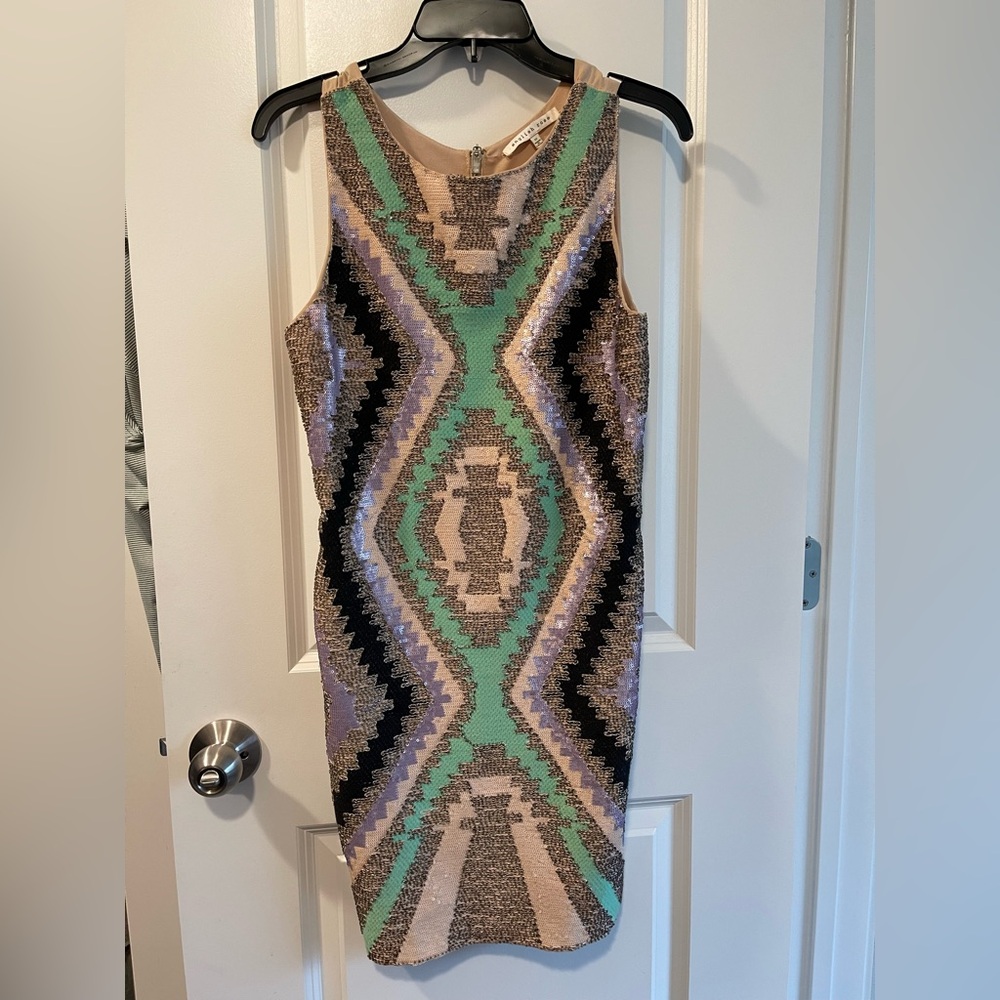 English Rose Aztec Pattern Mini Dress